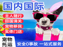玉龙航空托运国际宠物托运 【国